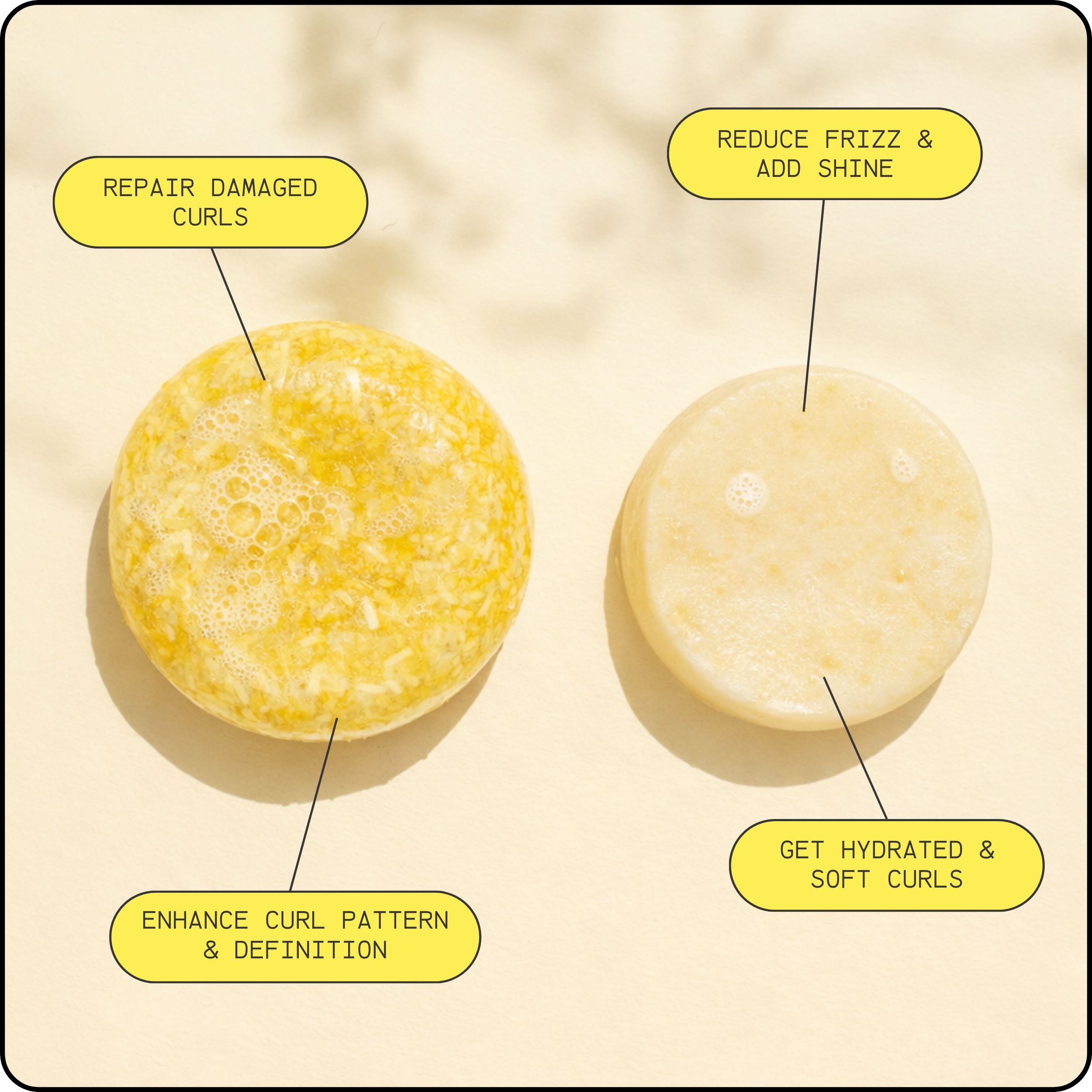 Curl Comeback Bundle | Lemon Bloom