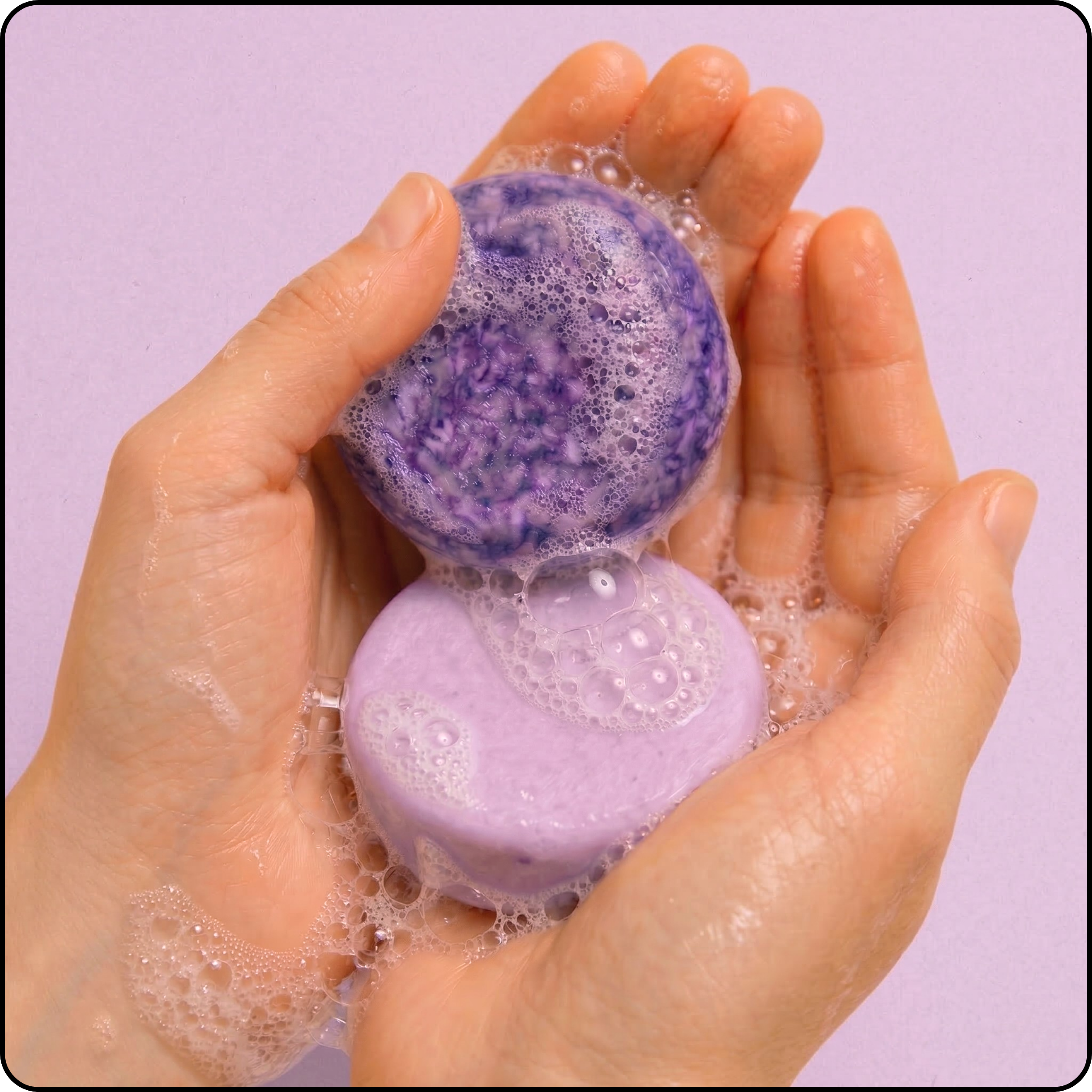 Curl Comeback Bundle Lavender Haze